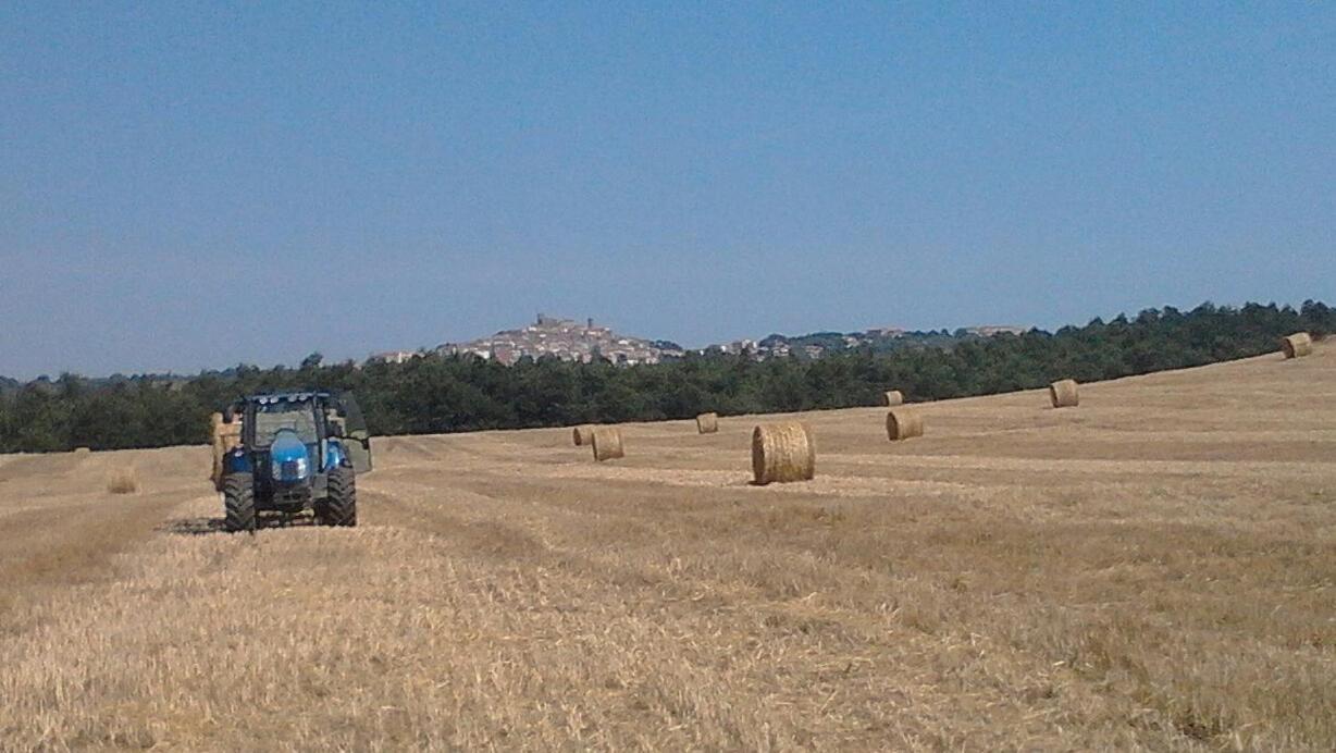 فيلا مانشانوفي Il Laghetto Agriturismo المظهر الخارجي الصورة
